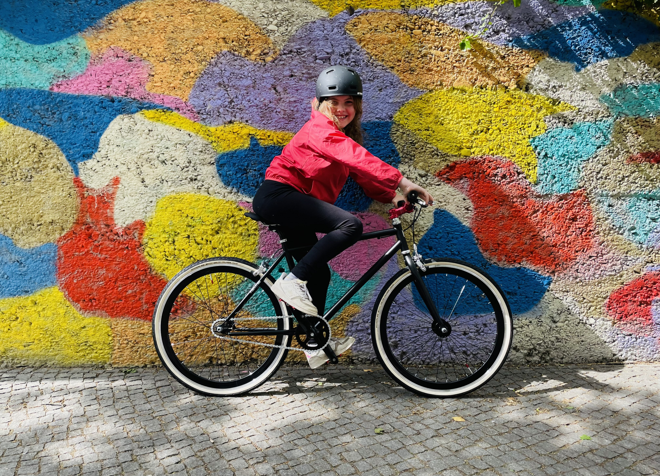 TYPE bike