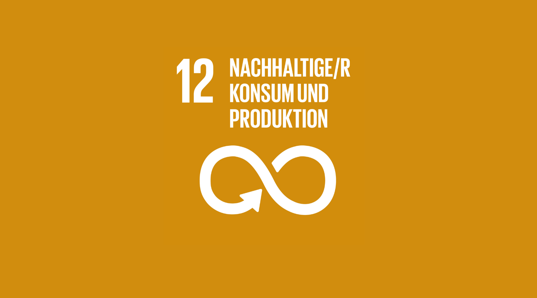 #12 Nachhaltiger Konsum