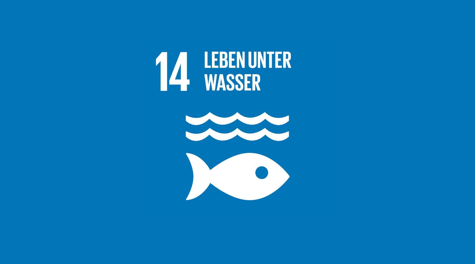 #14 Leben unter Wasser