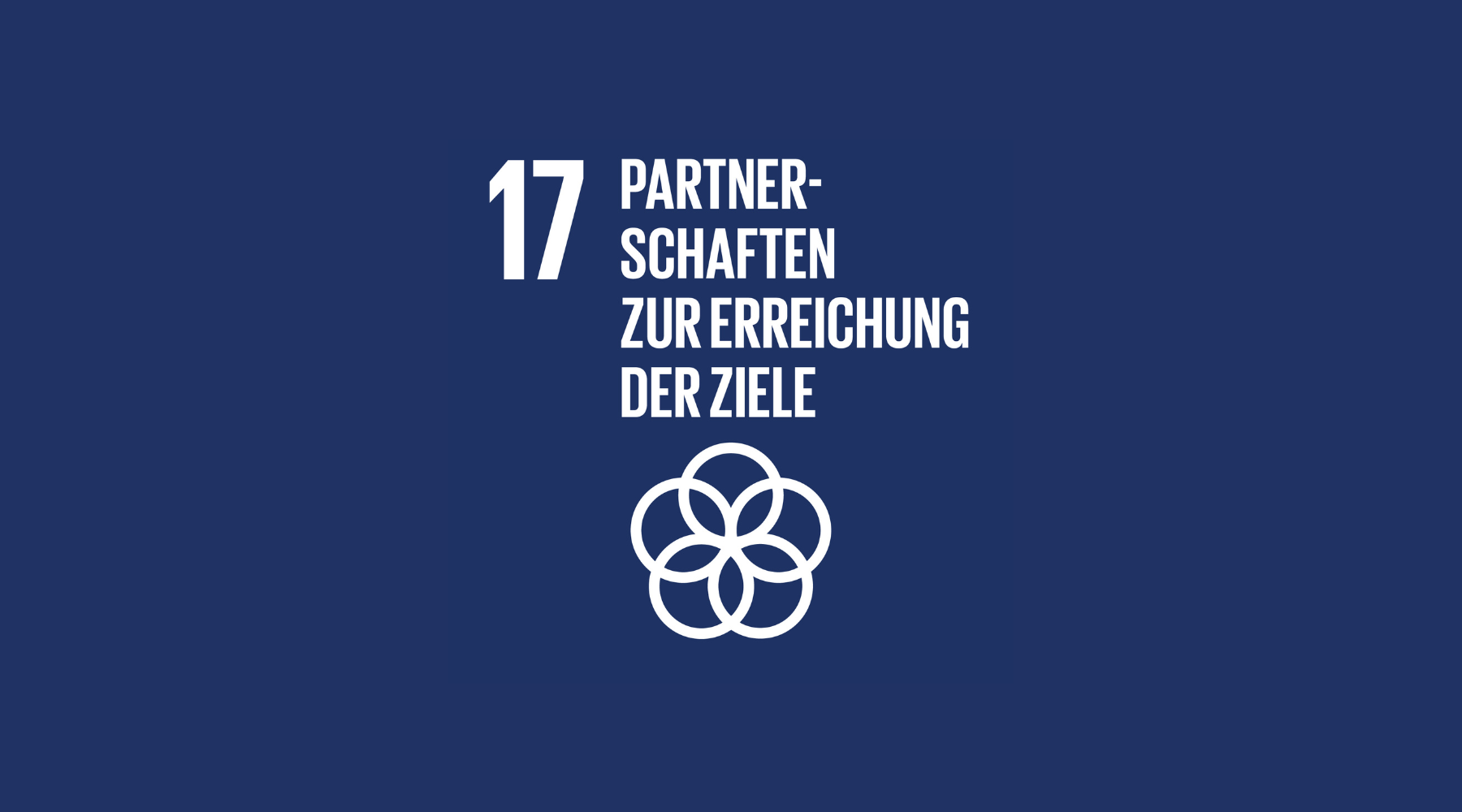 #17 Partnerschaften